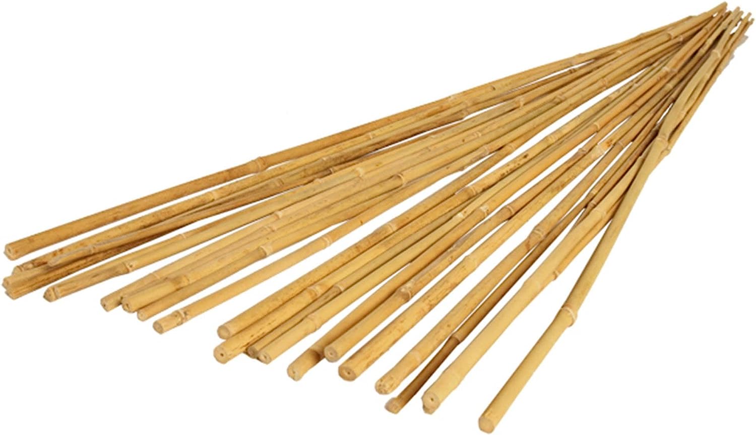 Bamboo Stake 2 FT. (20PCS/BDL)