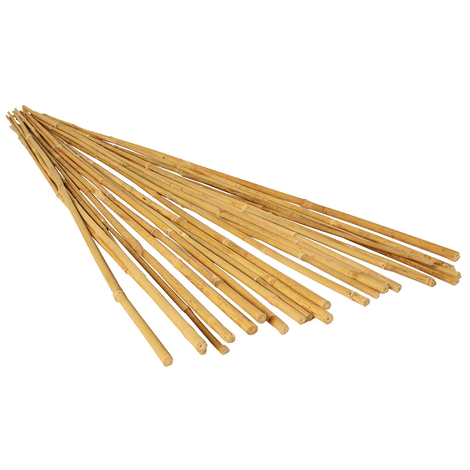 Bamboo Stake 6 FT (20 PCS/BDL)
