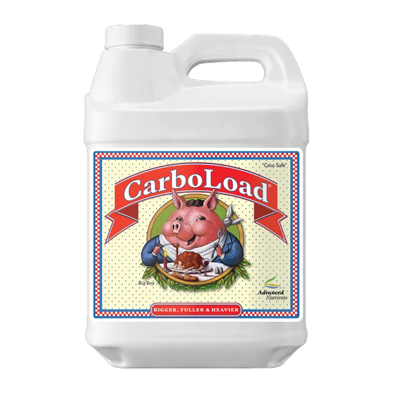 CarboLoad Liquid 10 Litres