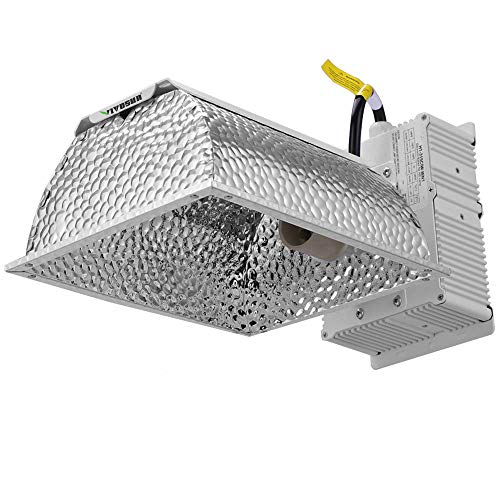 GROWERBASICS PREMIUM CMH 315W KIT 120-240V