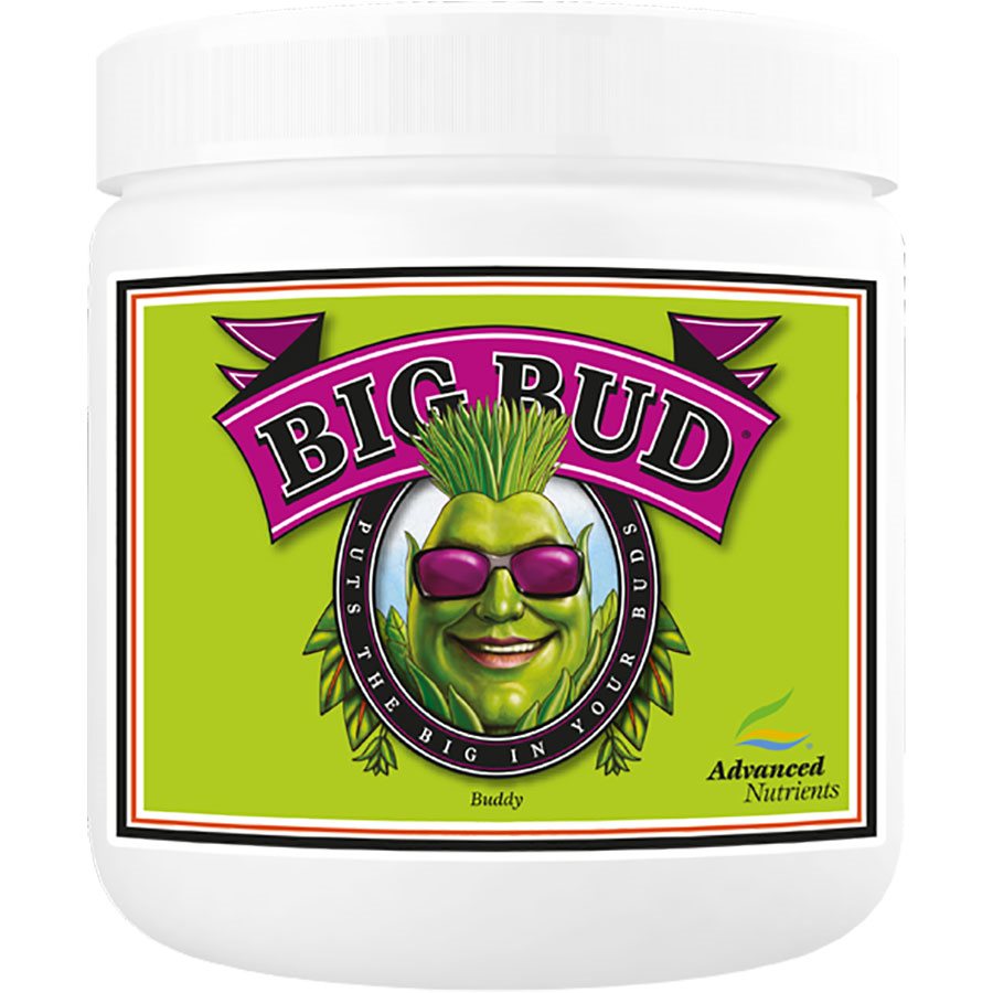 Big Bud Powder 2.5 Kilograms