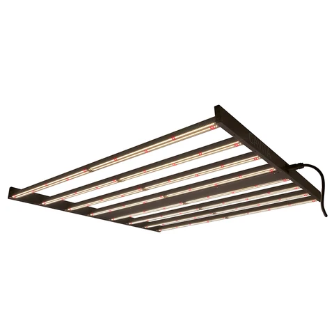 GAVITA 1700 LED