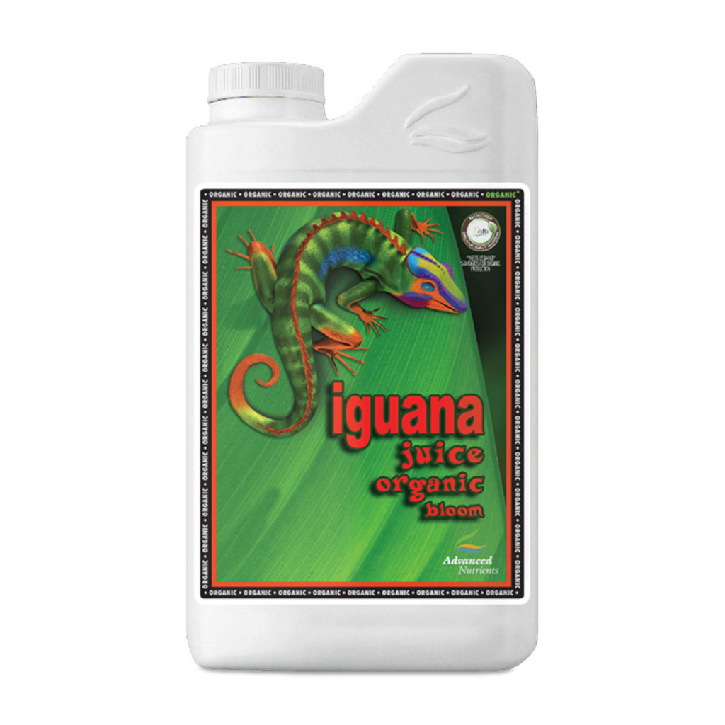 ORGANIC IGUANA JUICE BLOOM 1 L