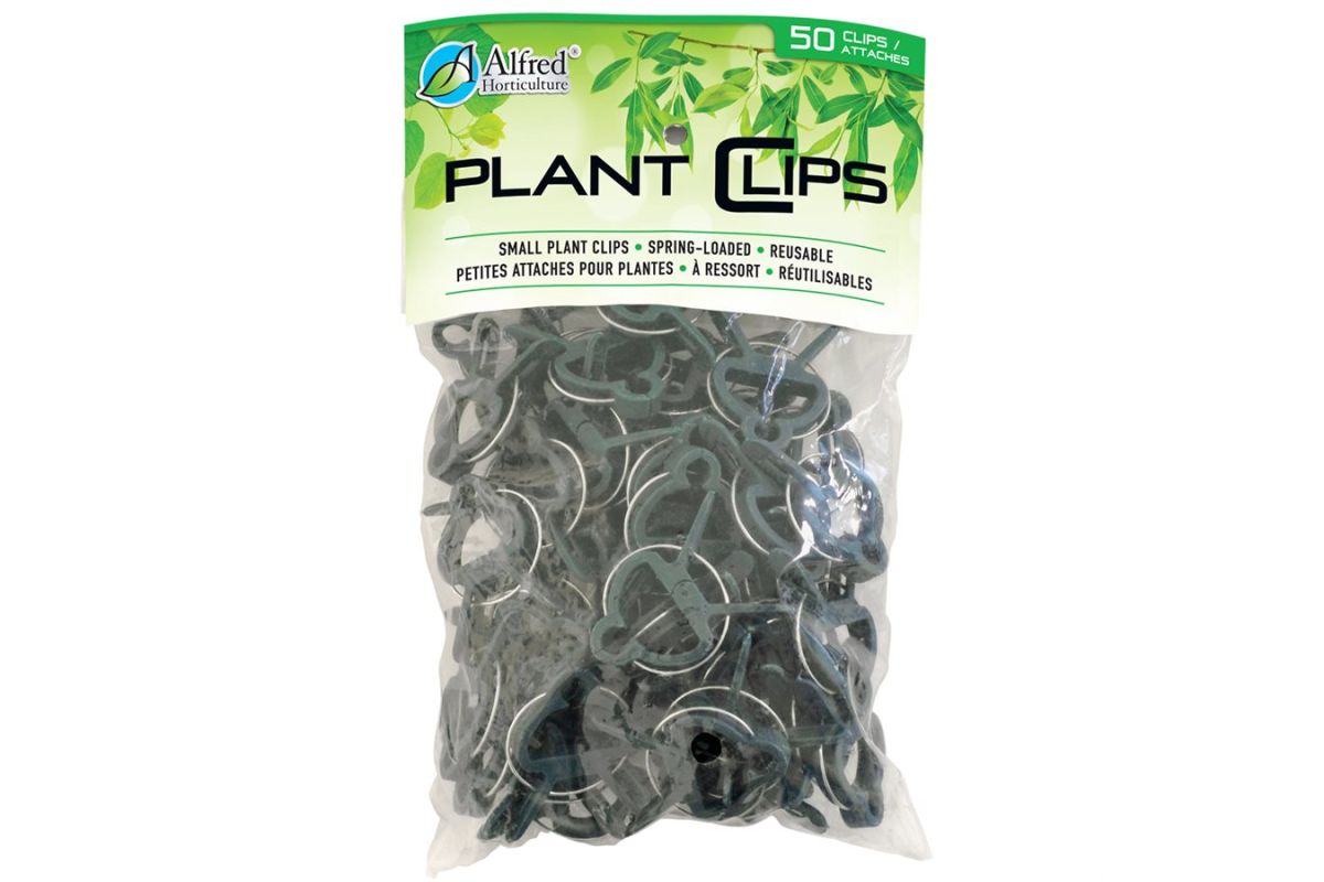 ALFRED PLANT CLIP SPRING LOADED SMALL 1 3/4" X 1 1/8" (50/PK)