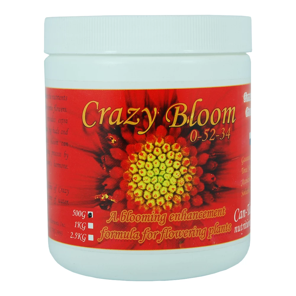 Crazy Bloom 500 Grams