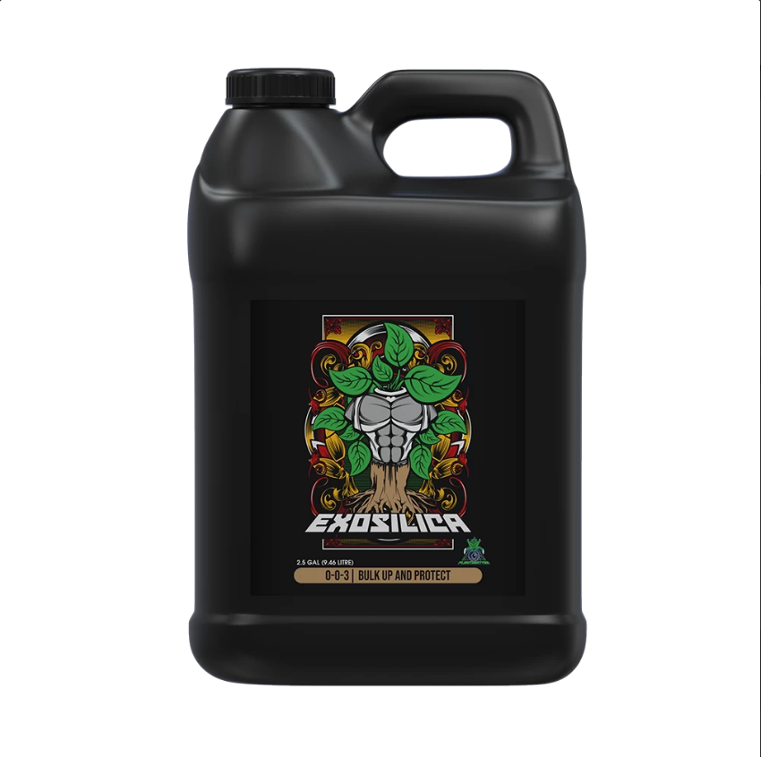 EXOSILICA 10 LITRES