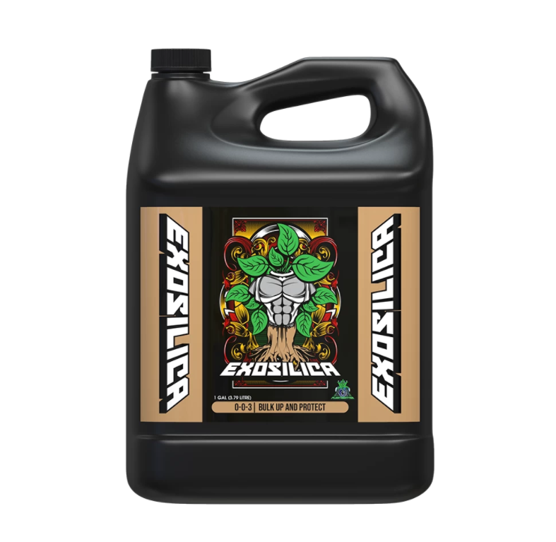 EXOSILICA 4 LITRES