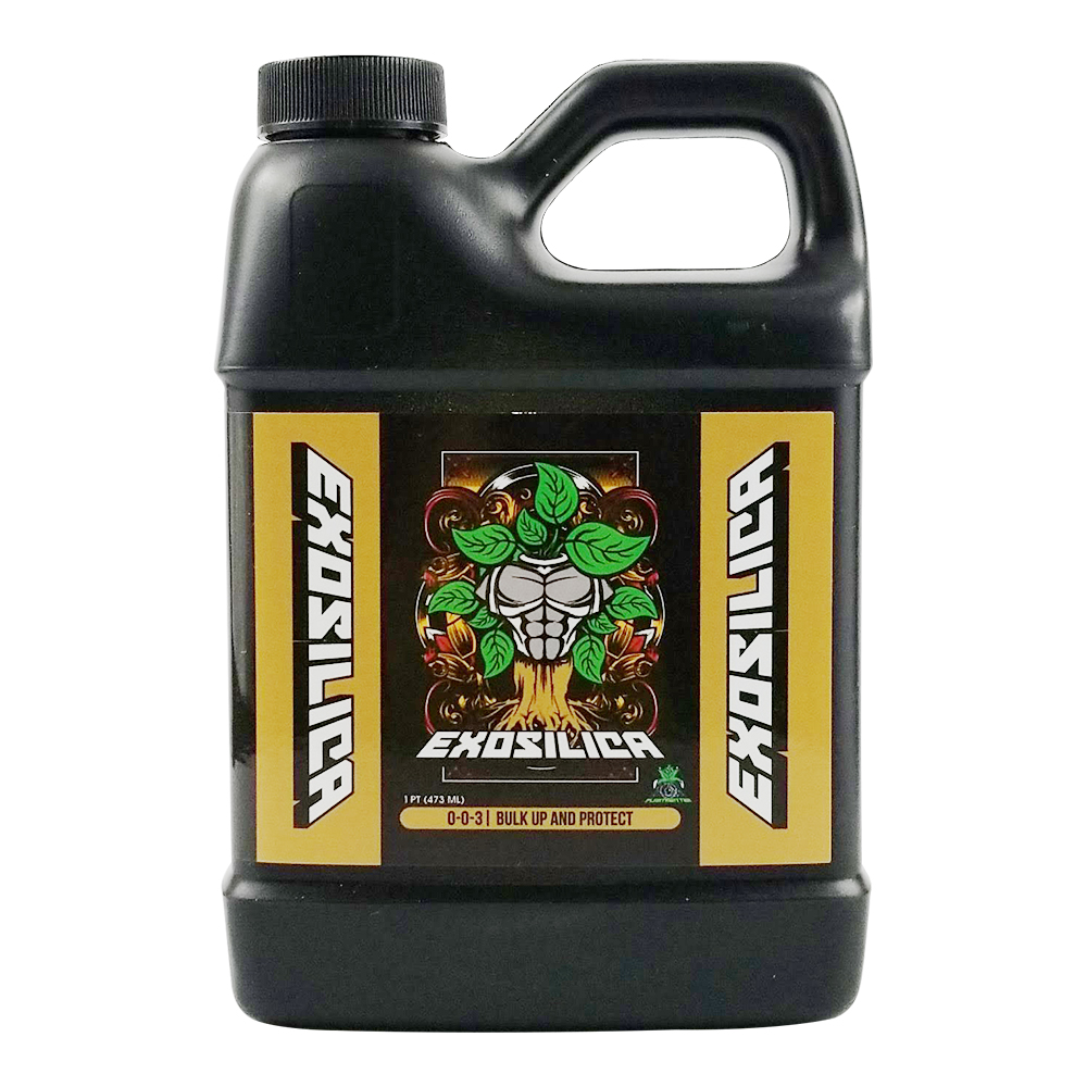 EXOSILICA 500 ML