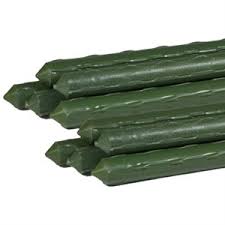 GREEN GOLD STEEL STAKES 5/16 IN DIAMETER 4 FT (50/CS)