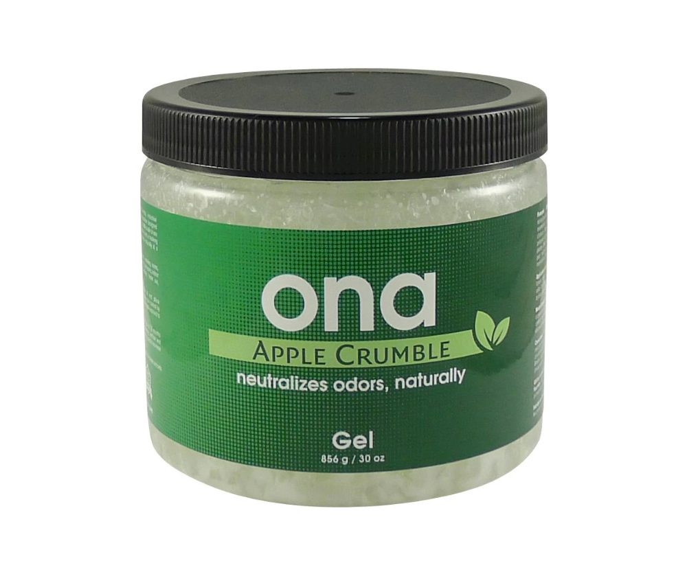 ONA APPLE CRUMBLE 1 L GEL