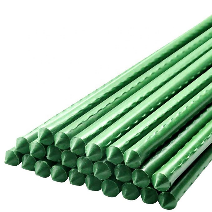 Plastic Plant Support Stake 5 ft
