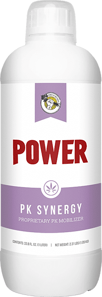 POWERSI PK SYNERGY 1 L