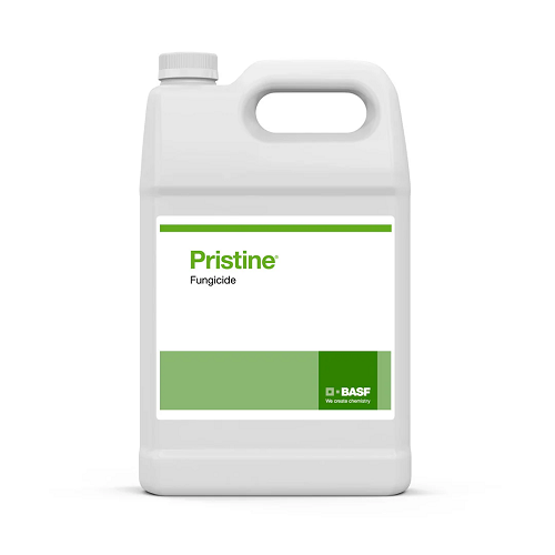 PRISTINE 2.83KG