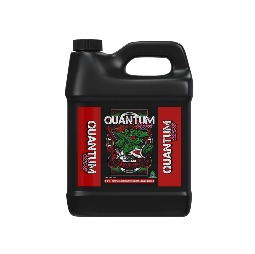 QUANTUM BLOOM A 1 LITRE