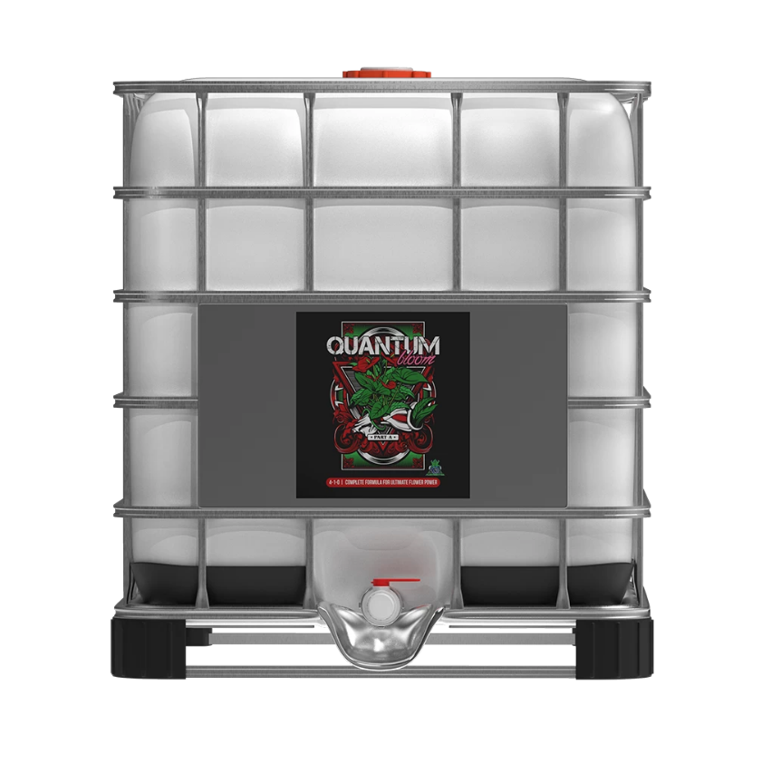 QUANTUM BLOOM A 1000 LITRES