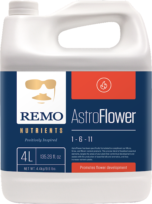 REMO'S ASTRO FLOWER 4 LITRE