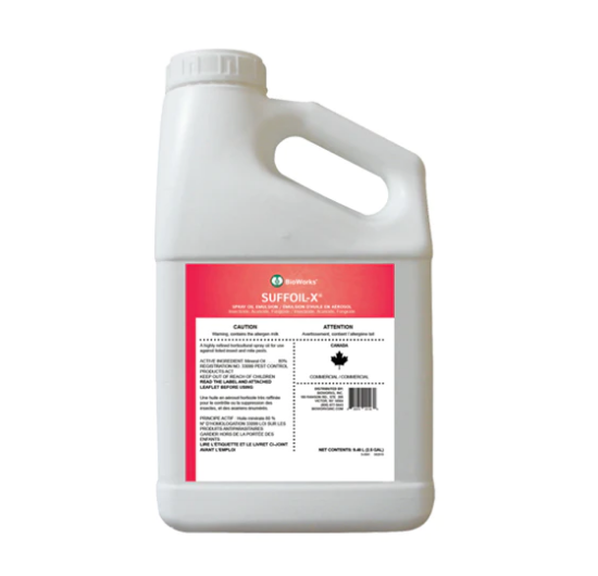SUFF OIL X 10L