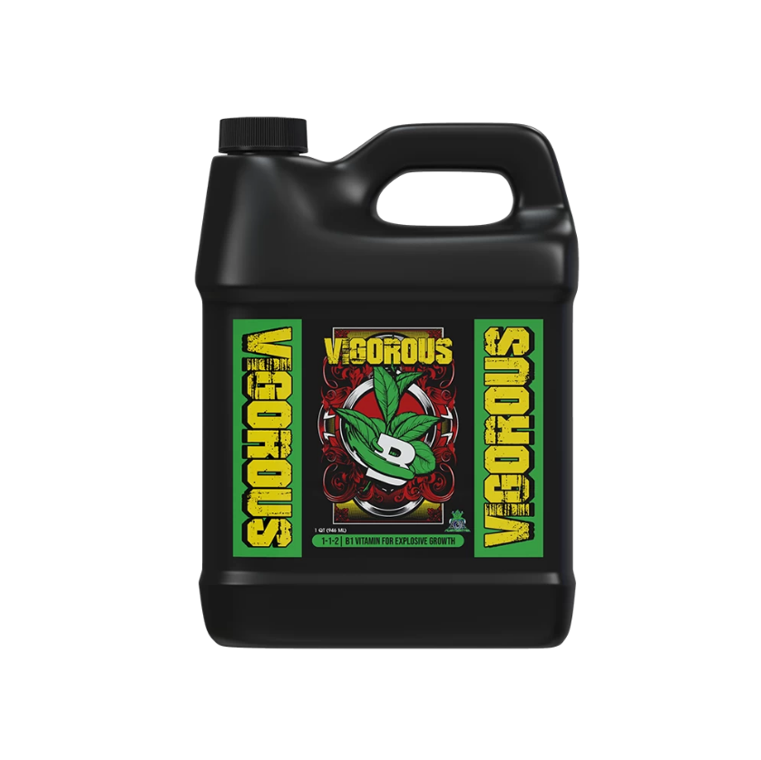 VIGOROUS 1 LITRE