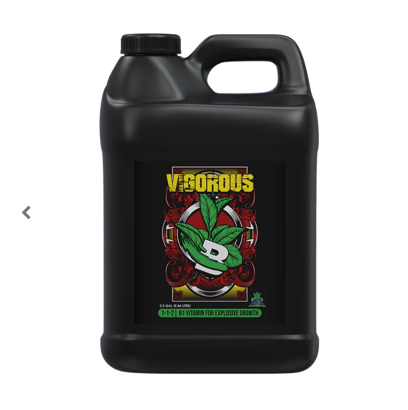 VIGOROUS 10 LITRES