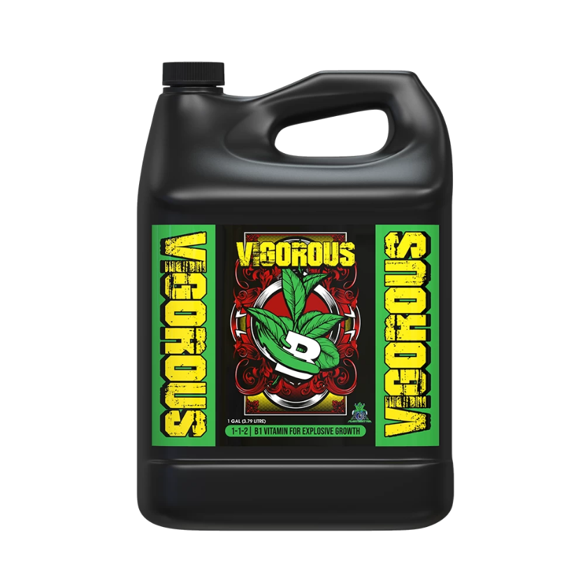 VIGOROUS 4 LITRES