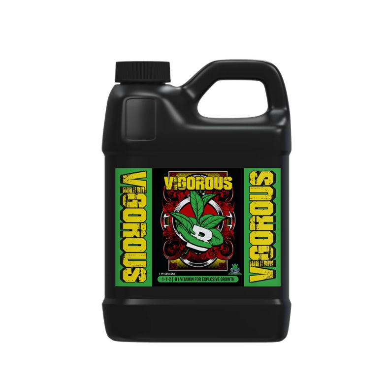 VIGOROUS 500 ML
