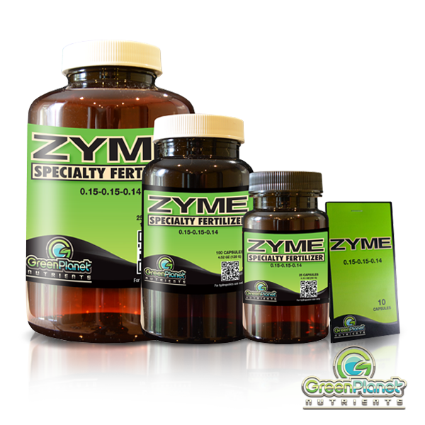 Zyme 250 Caps