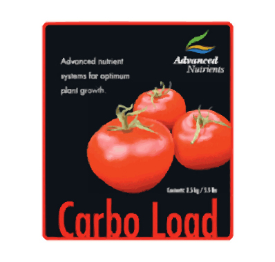 CarboLoad Powder 600 Grams