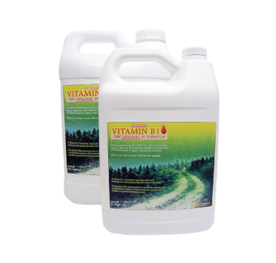 Vitamin B1 Original 10 Litres